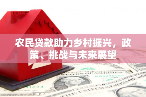 荔湾农民贷款助力乡村振兴，政策、挑战与未来展望
