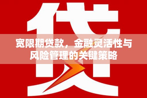 荔湾宽限期贷款，金融灵活性与风险管理的关键策略