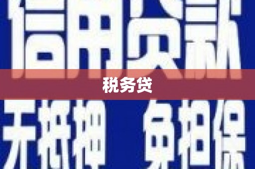 荔湾税务贷