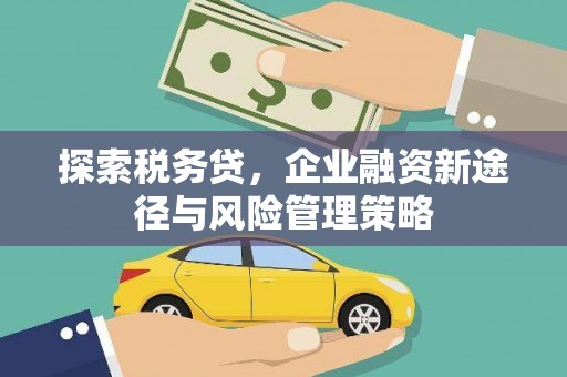 荔湾探索税务贷，企业融资新途径与风险管理策略