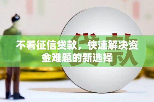 荔湾不看征信贷款，快速解决资金难题的新选择