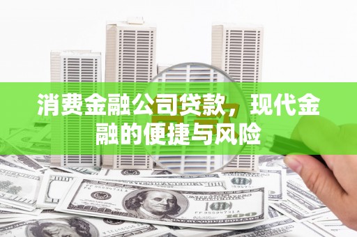 荔湾消费金融公司贷款，现代金融的便捷与风险