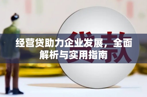 荔湾经营贷助力企业发展，全面解析与实用指南