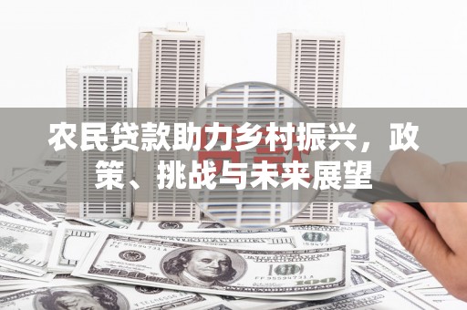 荔湾农民贷款助力乡村振兴，政策、挑战与未来展望