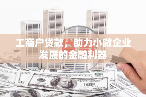 荔湾工商户贷款，助力小微企业发展的金融利器