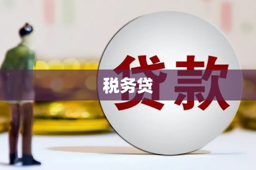 荔湾税务贷