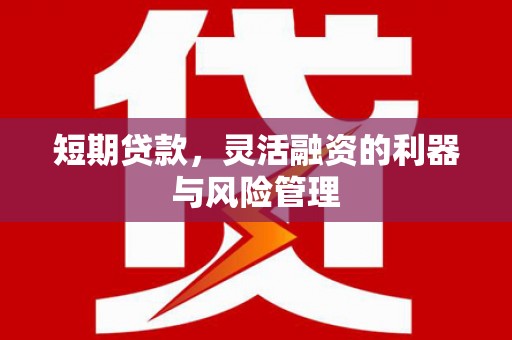 荔湾短期贷款，灵活融资的利器与风险管理