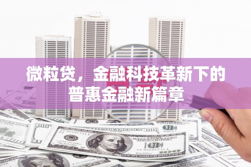 荔湾微粒贷，金融科技革新下的普惠金融新篇章