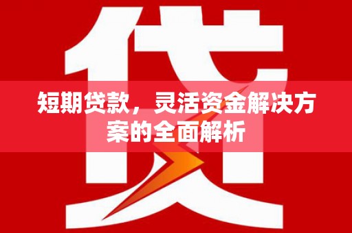 荔湾短期贷款，灵活资金解决方案的全面解析