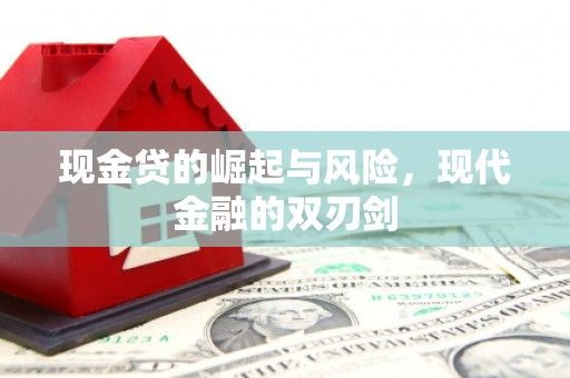 荔湾现金贷的崛起与风险，现代金融的双刃剑