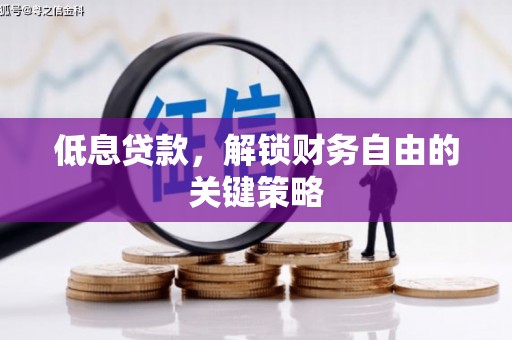 荔湾低息贷款，解锁财务自由的关键策略