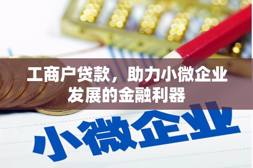 荔湾工商户贷款，助力小微企业发展的金融利器