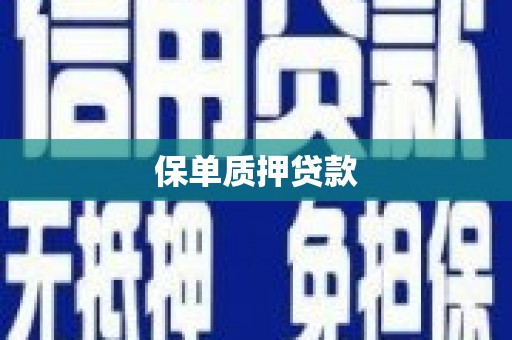 荔湾保单质押贷款