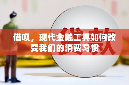 荔湾借呗，现代金融工具如何改变我们的消费习惯