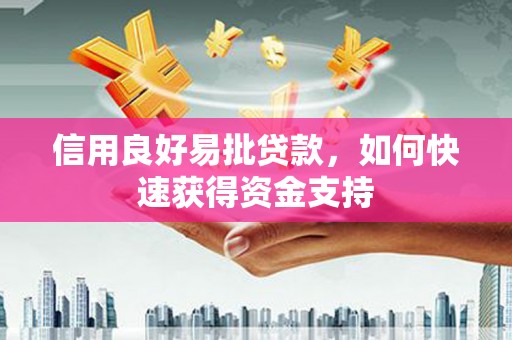 荔湾信用良好易批贷款，如何快速获得资金支持