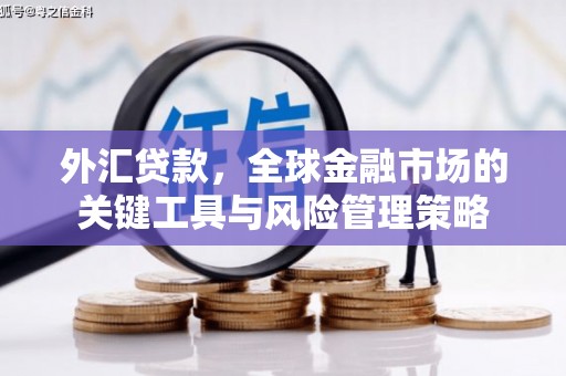 荔湾外汇贷款，全球金融市场的关键工具与风险管理策略