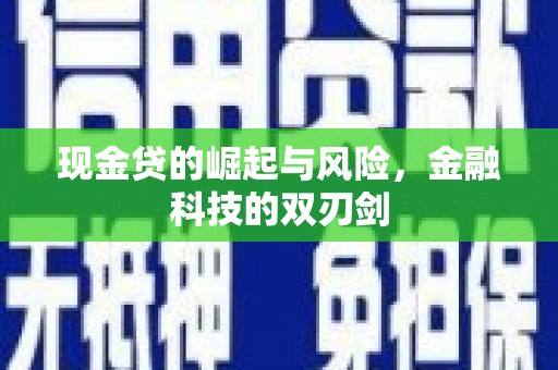 荔湾现金贷的崛起与风险，金融科技的双刃剑