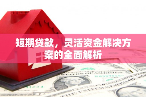 荔湾短期贷款，灵活资金解决方案的全面解析