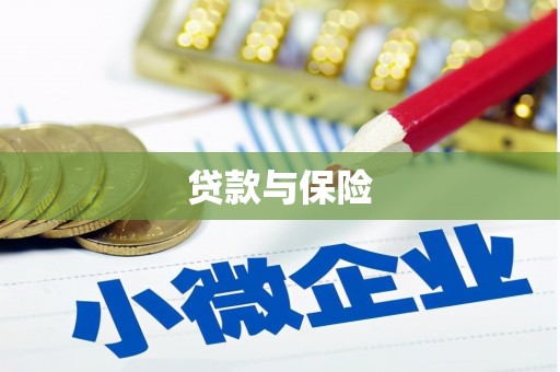 荔湾贷款与保险