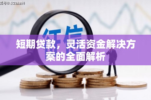 荔湾短期贷款，灵活资金解决方案的全面解析