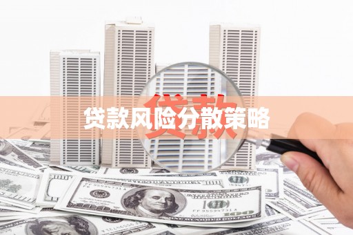 荔湾贷款风险分散策略