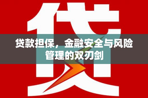 荔湾贷款担保，金融安全与风险管理的双刃剑