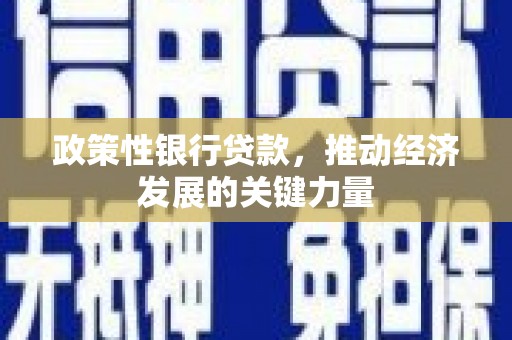 荔湾政策性银行贷款，推动经济发展的关键力量