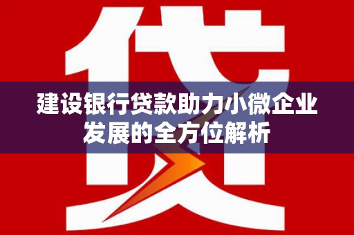 荔湾建设银行贷款助力小微企业发展的全方位解析