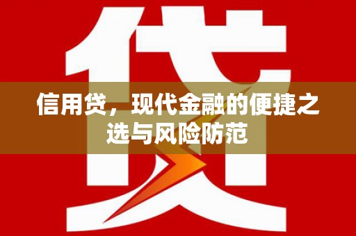 荔湾信用贷，现代金融的便捷之选与风险防范