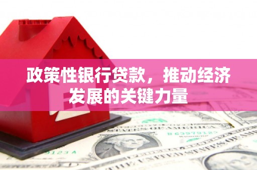 荔湾政策性银行贷款，推动经济发展的关键力量