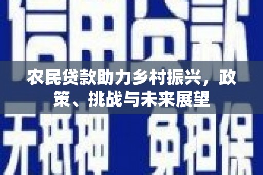 荔湾农民贷款助力乡村振兴，政策、挑战与未来展望