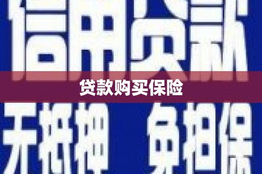 荔湾贷款购买保险