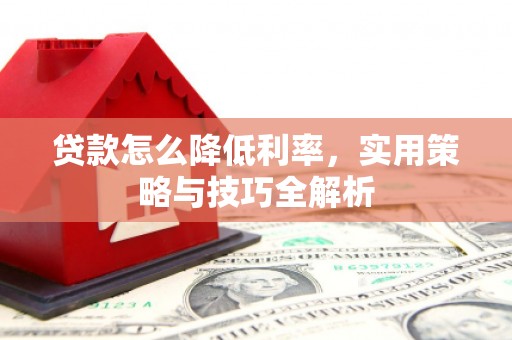 荔湾贷款怎么降低利率，实用策略与技巧全解析