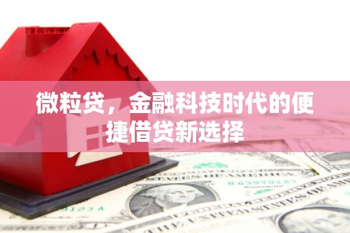 荔湾微粒贷，金融科技时代的便捷借贷新选择