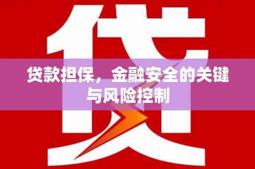 荔湾贷款担保，金融安全的关键与风险控制