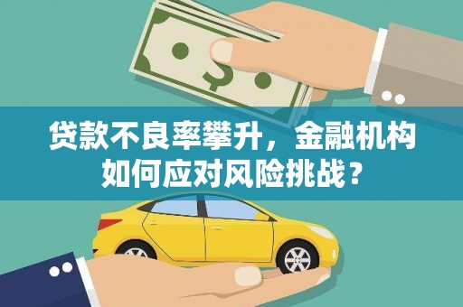 荔湾贷款不良率攀升，金融机构如何应对风险挑战？