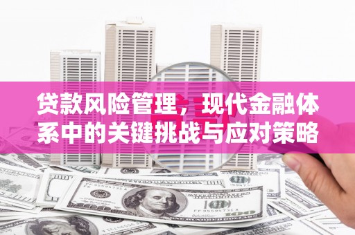 荔湾贷款风险管理，现代金融体系中的关键挑战与应对策略