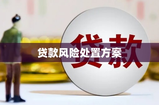 荔湾贷款风险处置方案