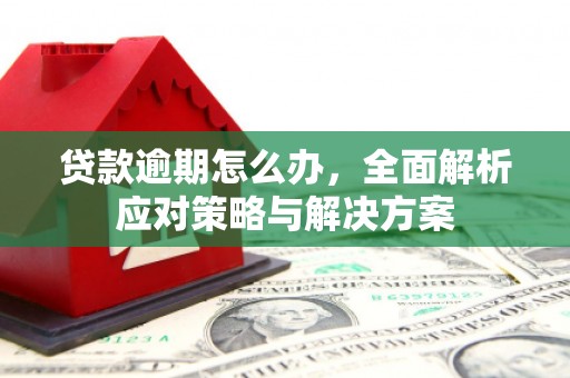 荔湾贷款逾期怎么办，全面解析应对策略与解决方案