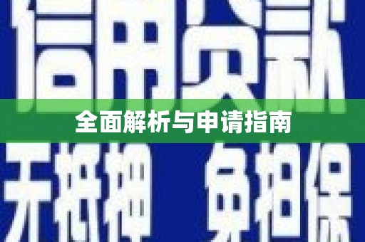 荔湾全面解析与申请指南
