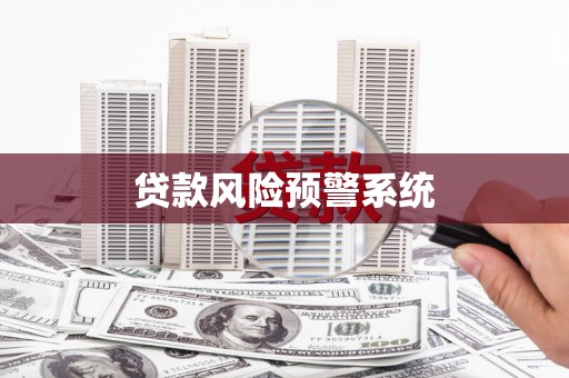 荔湾贷款风险预警系统
